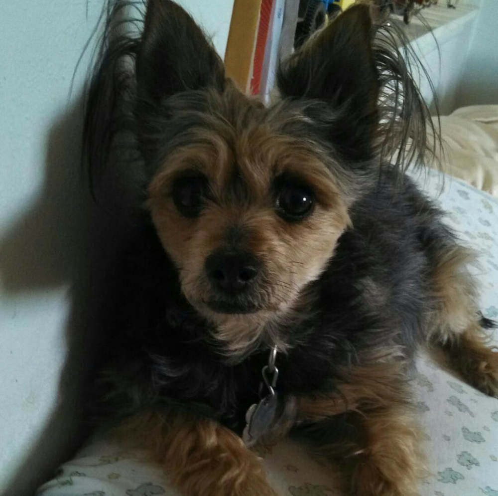 Meet your Posher, Cyndi